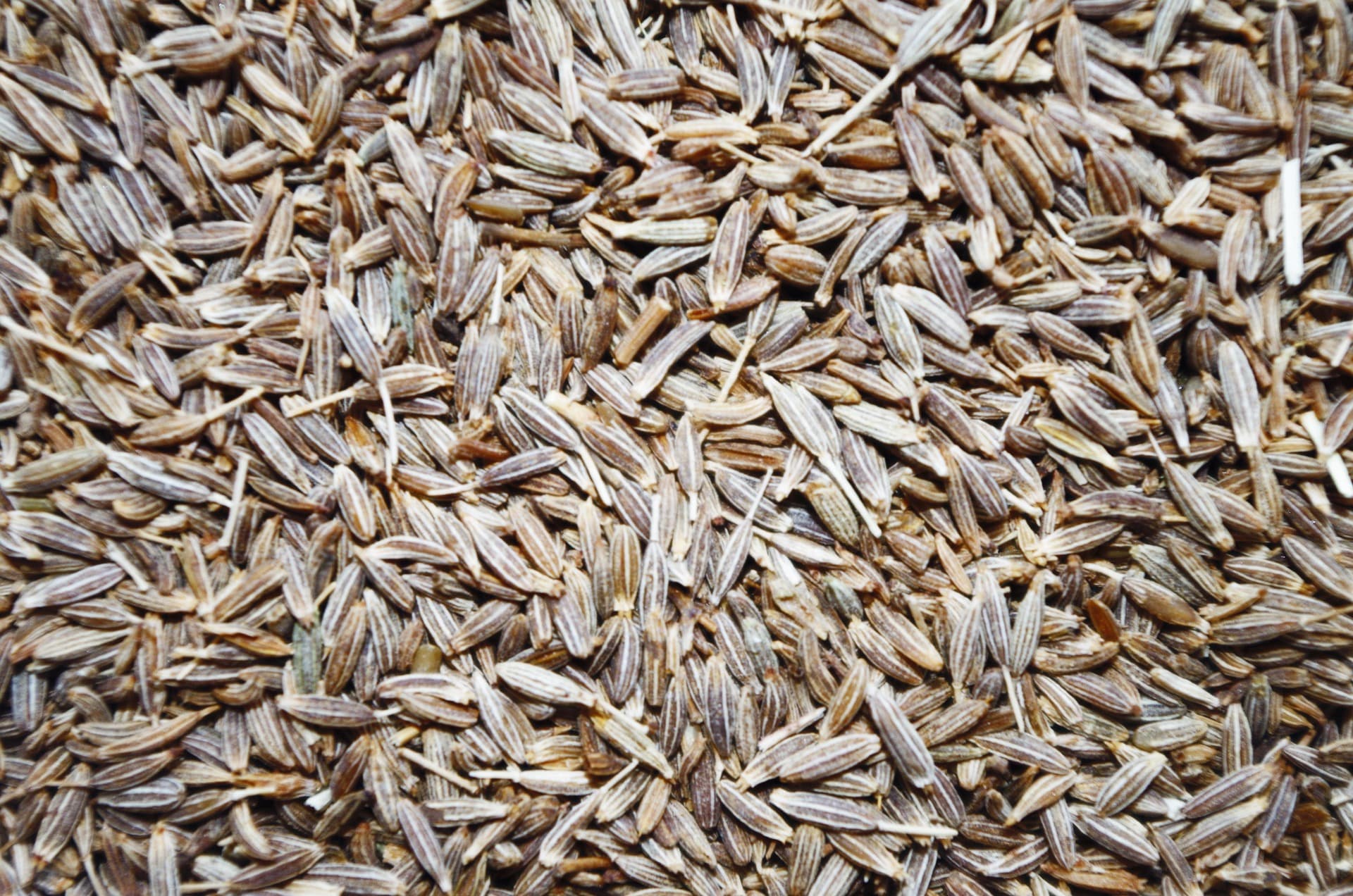 Cumin Seeds